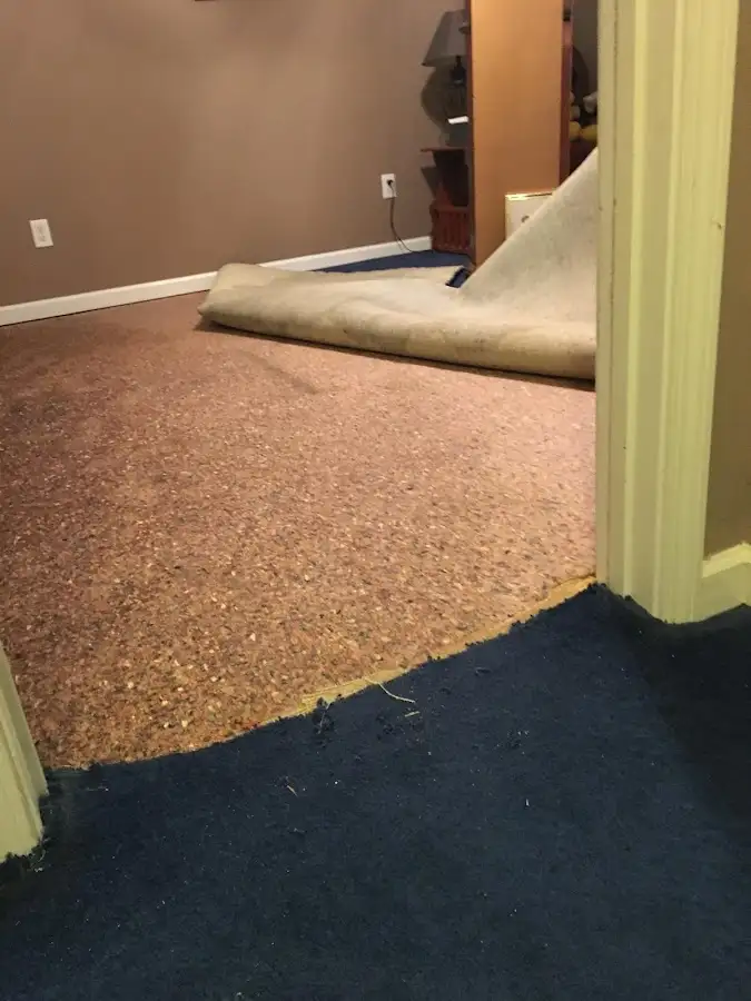 Carpet pad removal revealing water damage during Drying & Dehumidification in Miami