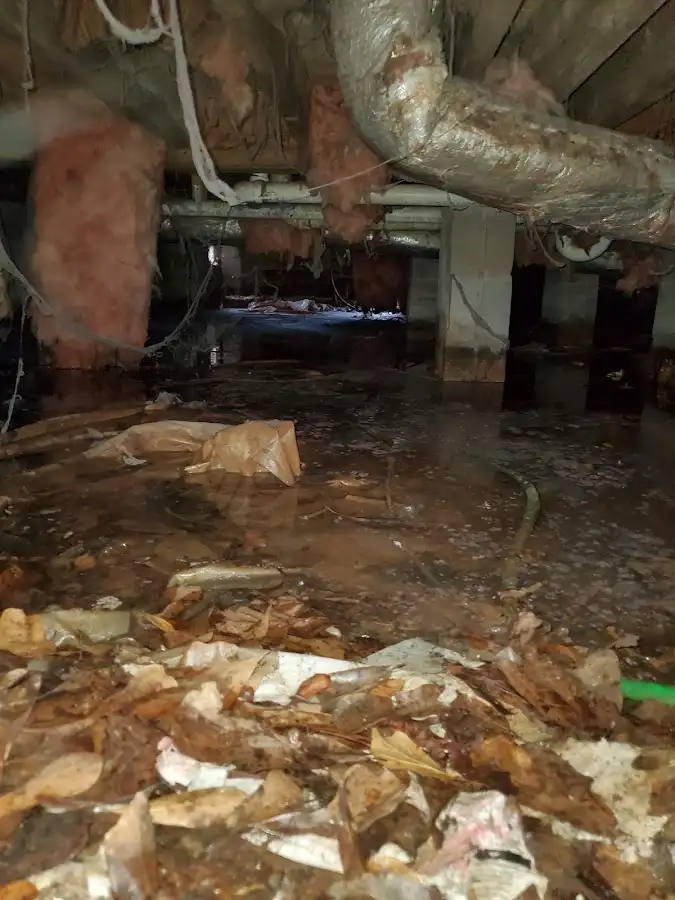 Crawl space flood assessment for Leak Detection & Repair in Miami